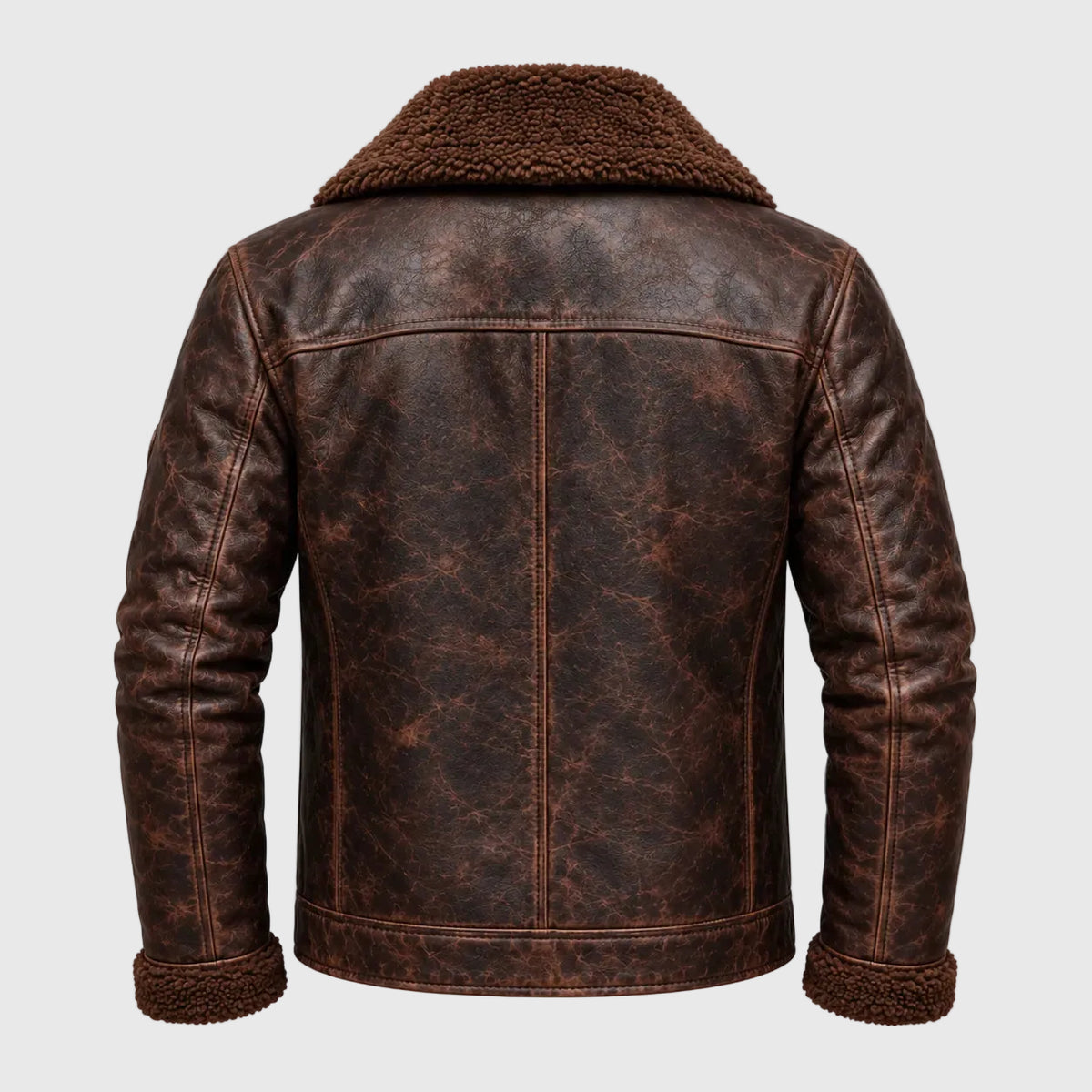 Back View Of Vintage Shearling Leather Jacket for Men